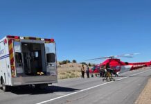 Woman Looking at Porn While Driving Caused Deadly Car Crash in Utah, Cops Say